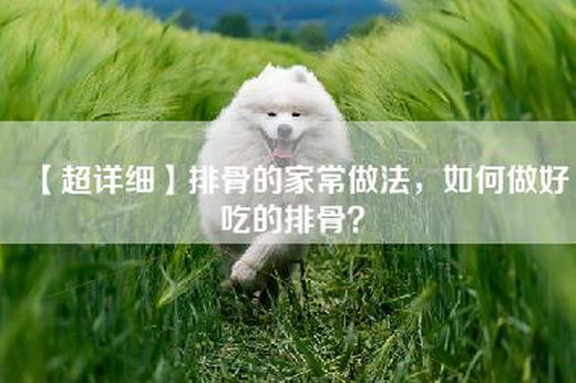 【超详细】排骨的家常做法，如何做好吃的排骨？