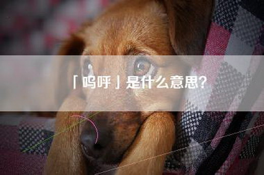 「呜呼」是什么意思？