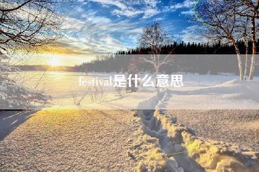 festival是什么意思