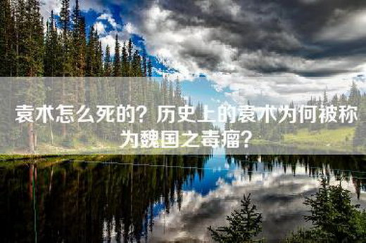 袁术怎么死的？历史上的袁术为何被称为魏国之毒瘤？