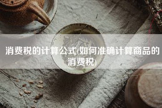 消费税的计算公式(如何准确计算商品的消费税)