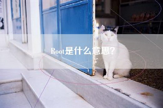 Root是什么意思？