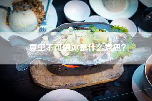 夏虫不可语冰是什么意思？