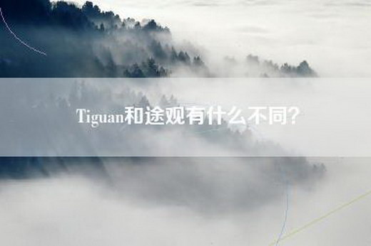 Tiguan和途观有什么不同？