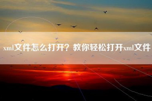 xml文件怎么打开？教你轻松打开xml文件