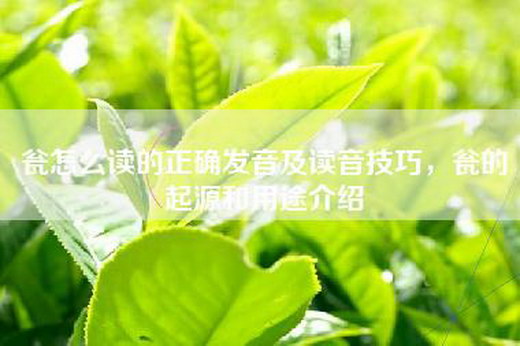 瓮怎么读的正确发音及读音技巧，瓮的起源和用途介绍