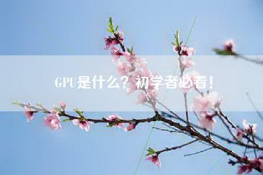 GPU是什么？初学者必看！