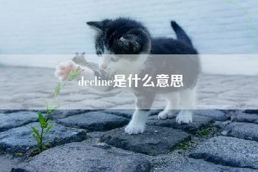 decline是什么意思