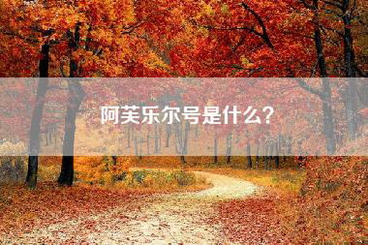 阿芙乐尔号是什么？