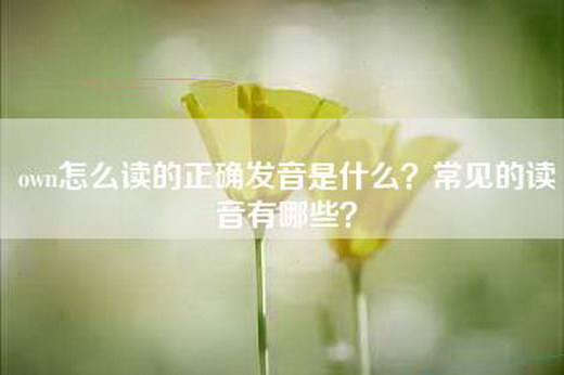 own怎么读的正确发音是什么？常见的读音有哪些？