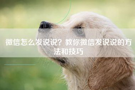 微信怎么发说说？教你微信发说说的方法和技巧