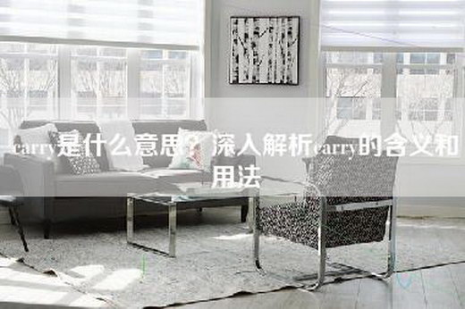 carry是什么意思？深入解析carry的含义和用法